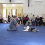 agm 2017 elderly demonstration dog thinks about it.