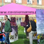 Cavalier Matters Charity Stall
