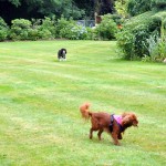 482084_10151917490755389_2084626076_n