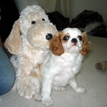 bailey_061