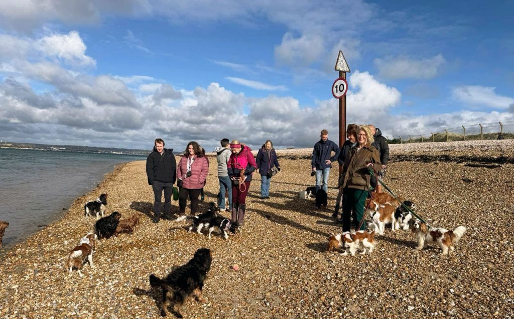 Last Year's Companion Cavalier Club Hayling Island Mini Meet
