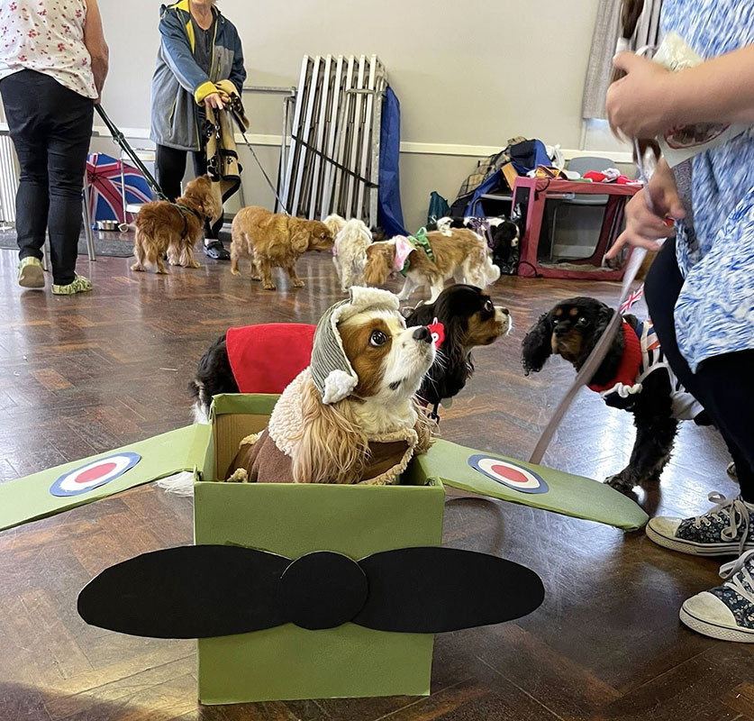 Last Year's Companion Cavalier Club Weekend Event