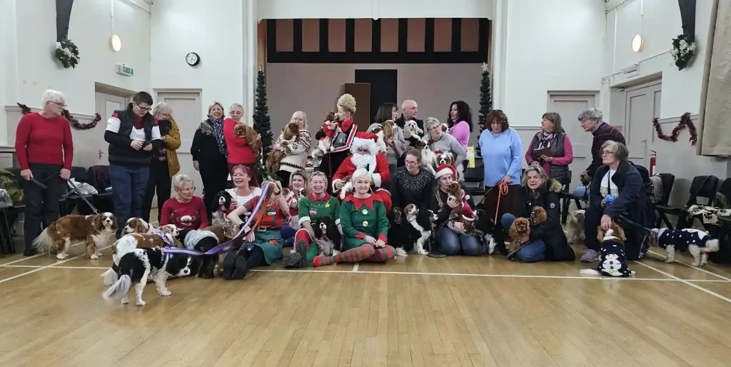 Companion Cavalier Club Christmas Party